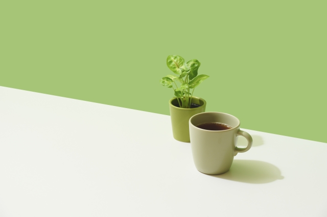観葉植物とカップ